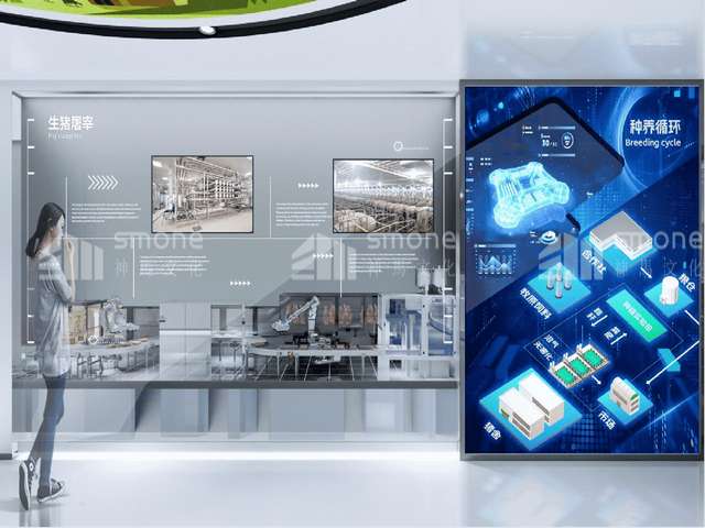 北京升芯芯模厂家