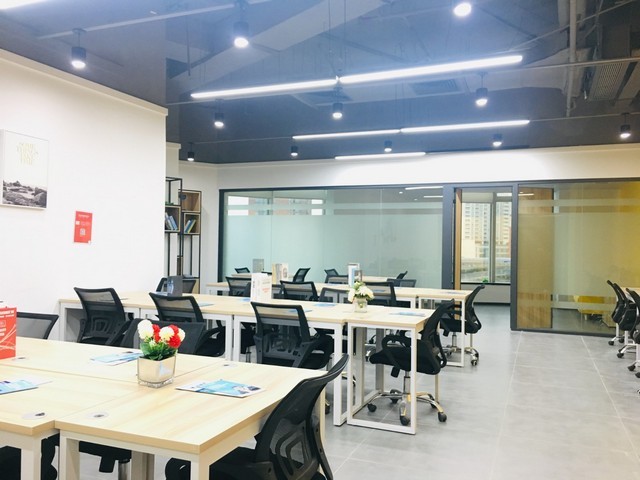 临沂防虫小麦种子招商