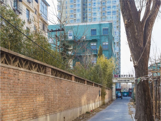 江苏先进球铁棒QT500-7认真负责